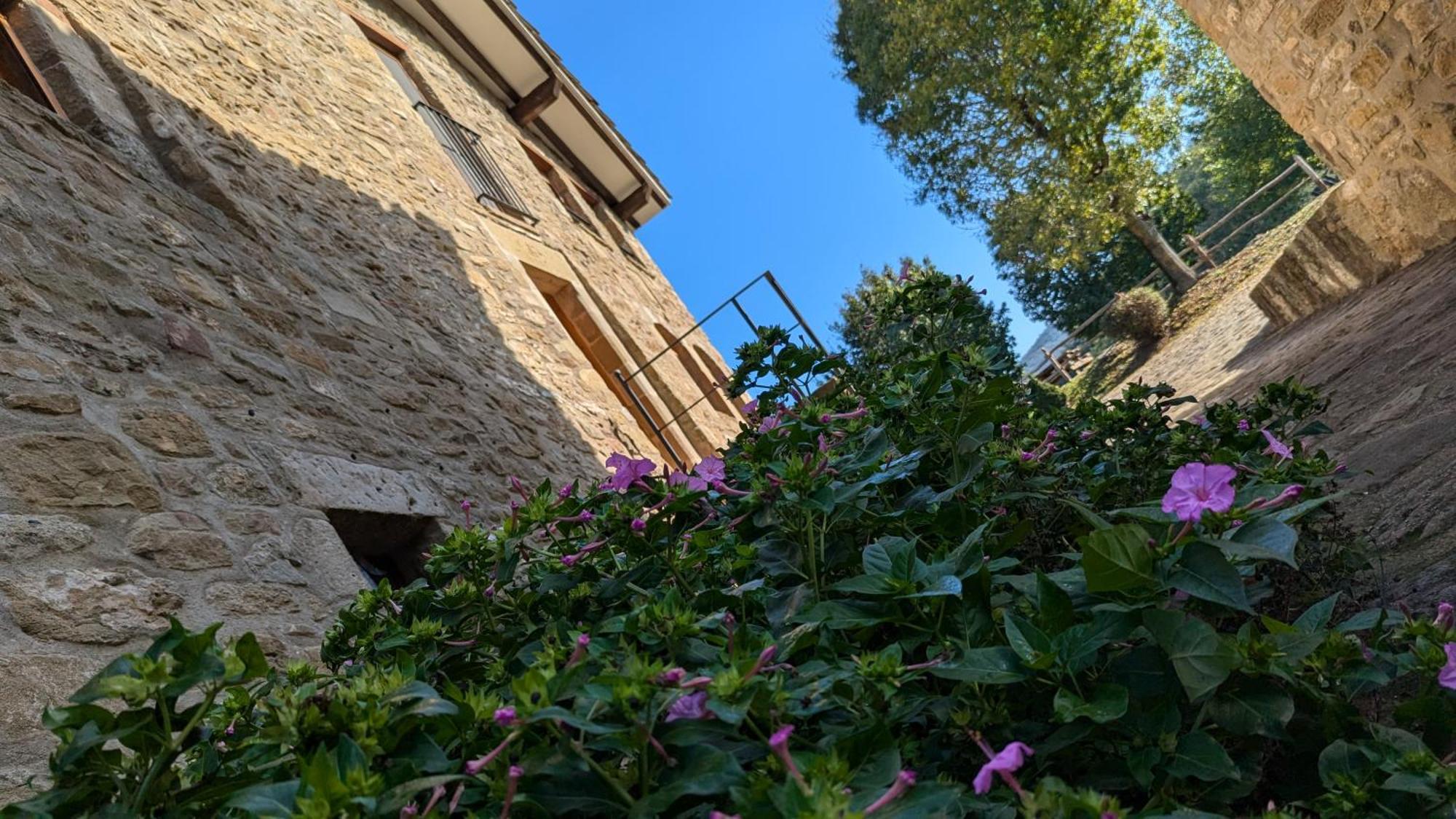 Mas El Carrer Leilighet Santa Pau Eksteriør bilde